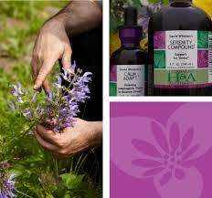triptych of herbalist and alchemist products, and purple flowers
